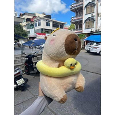 Thú nhồi bông Capybara đi biển ngộ nghĩnh - Size 35cm đến 45cm - Quà tặng gấu bông chuột lang đeo phao vịt cute.