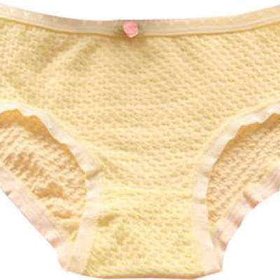 COMBO 05 QUẦN LÓT NỮ TĂM TRE HQ SIÊU ĐẸP, TÔN DÁNG, THOÁNG MÁT QL1605 (Màu ngẫu nhiên)