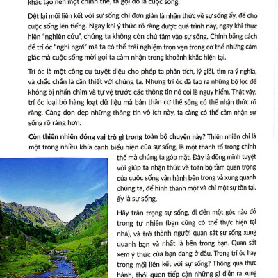 Sinh Tồn Giữa Thiên Nhiên Cẩm Nang Toàn Tập Về Dã Ngoại