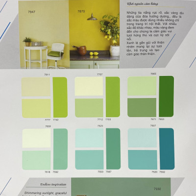 Sơn phào chỉ trong và ngoài nhà Toa 4 Seasons Tropic Shield màu B- 7376_1L