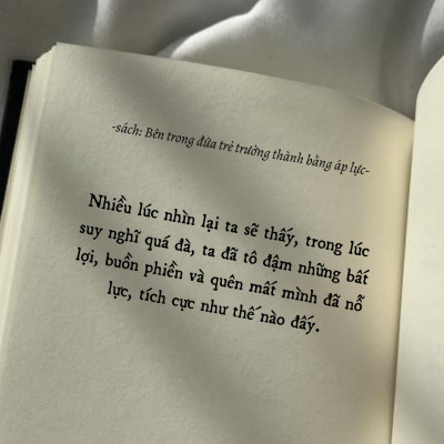 Combo Bên Trong Đứa Trẻ Trưởng Thành Bằng Áp Lực và Công Bằng Trên Đời Là Do Bạn Nỗ Lực Giành Lấy ( Tặng kèm sổ tay xương rồng ) - NHBook