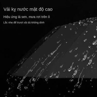 Ô Dù Gấp Gọn 10 Nan Kép - Chắc Chắn, Chống Lật, Tay Cầm Thông Minh, Chống Tia UV 99% - HÀNG CHÍNH HÃNG MINIIN