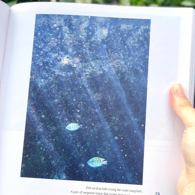 (Sách Song Ngữ) KHÁM PHÁ VIỆT NAM XANH: HÀNH TINH BIỂN - Khám Phá Hệ Sinh Thái Đầy Màu Sắc Dưới Đại Dương - Phạm Thanh Kiều Trang - Alpha Books