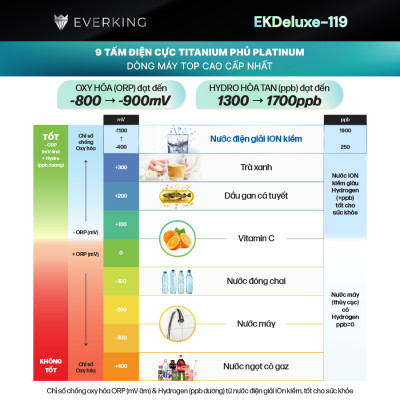 Máy Lọc Nước Điện Giải iON Kiềm EVERKING EKDeluxe-119 - Hàng Chính Hãng