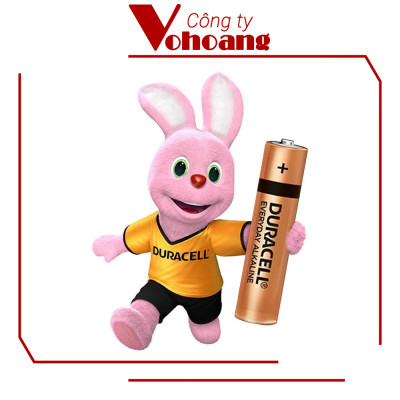 (Hot Sale) Pin AAA Duracell Everyday , Pin Kiềm vỉ 2 viên cho máy nghe nhạc, chuột không dây, bàn phim - Hàng Chính Hãng