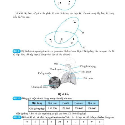 Sách - 500 Bài Tập Cơ Bản Và Nâng Cao Toán 6 - Dùng chung cho các bộ SGK hiện hành