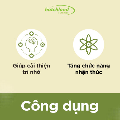 Viên uống Ginkgo Biloba hỗ trợ tăng cường tuần hoàn máu não, bổ não Hotchland Mega Brain TPBVSK-Hàng chính hãng [Hộp 60 viên]-HL0115
