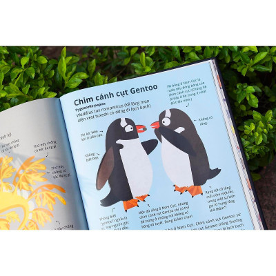 Sách - 100++ Bí Ẩn Về Tự Nhiên Những Động Vật Kỳ Diệu Nực Cười Nhất - Đinh Tị Books