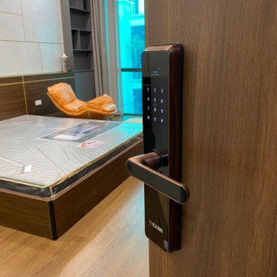 Khóa Vân Tay Kaimi BTM101 Màu Viền Đồng - Hàng Chính Hãng