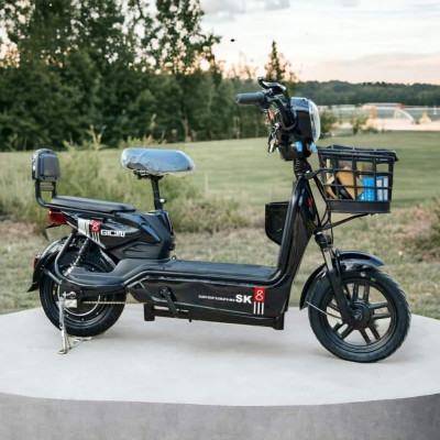 XE ĐIỆN SK8