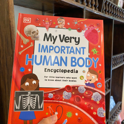 Sách - My Very Important Human Body Encyclopedia - DK Children English Book / Ngoại văn Nhập khẩu