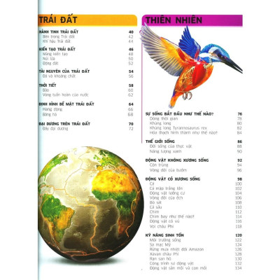 Tri Thức Về Vạn Vật - Một Thế Giới Trực Quan Chưa Từng Thấy ( Bìa Cứng) - Bản Quyền