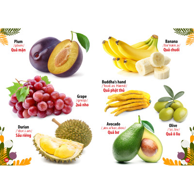 Từ Điển - Thư Viện Hình Ảnh Song Ngữ Đầu Tiên Của Bé - Loài chim - khủng Long - Chữ cái Và Số - Hoa Rau củ Quả ( bộ 4 cuốn )