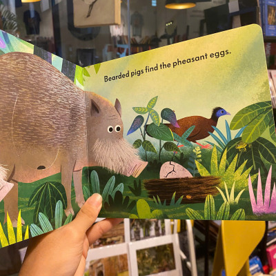 Sách - The Sun Shines on the Jungle by Michael Slack | English Children