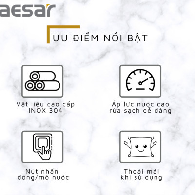 VÒI XỊT INOX 304 - BS310CW CAESAR