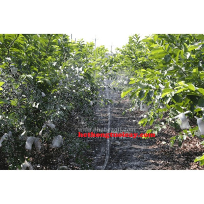 Dây tưới phun mưa phi 34mm 150M