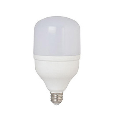 06 Bóng đèn led trụ 10W Rạng Đông, Model LED TR60N2/10w