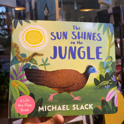 Sách - The Sun Shines on the Jungle by Michael Slack | English Children