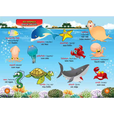 Từ Điển Bằng Hình Đầu Tiên Của Bé - Bách Khoa Tri Thức ( Các Trang Điều Là Bìa Cứng )