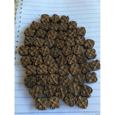 Vòng Chỉ đỏ Trầm hương may mắn