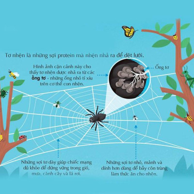 Sách - 100 Bí Ẩn Đáng Kinh Ngạc Về Khoa Học - Đinh Tị Books