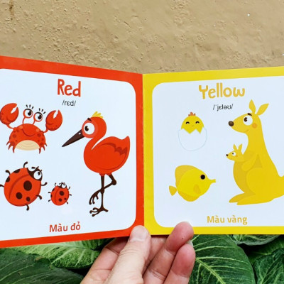 Từ điển hình ảnh đầu tiên cho bé khám phá thế giới (10 cuốn) - My first picture book