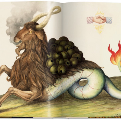 Artbook - Sách Tiếng Anh - Astrology: The Library of Esoterica