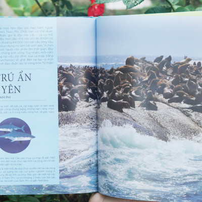 Bách khoa tri thức về các kỳ quan thế giới - Combo 2 tập Đinh Tị Books