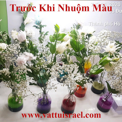 Nước Nhuộm Hoa Tươi Màu Hồng (Set 2 Chai) theo công nghệ Israel Color Sodium For Fresh Flowers giúp nhuộm đổi màu hoa cắt cành thành màu hồng đậm Pink