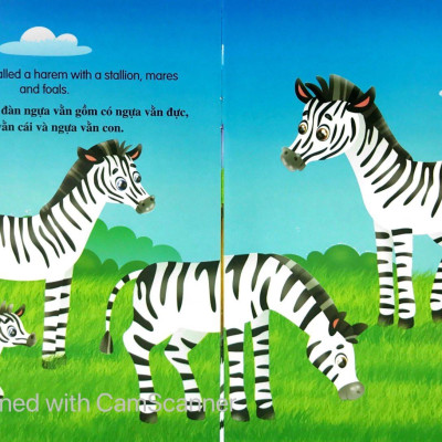 Bộ Sách Những Câu Chuyện Về Thế Giới Loài Vật 1 (Bộ 6 Cuốn)