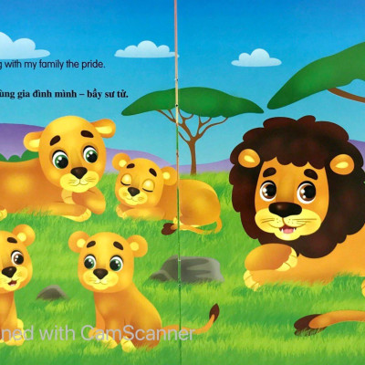 Bộ Sách Những Câu Chuyện Về Thế Giới Loài Vật 1 (Bộ 6 Cuốn)