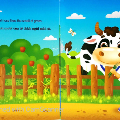 Bộ Sách Những Câu Chuyện Về Thế Giới Loài Vật 1 (Bộ 6 Cuốn)