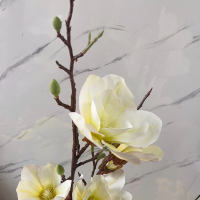 Mộc lan cao su giả - dài 90cm - 1 cành 5 bông - Cây giả, hoa lụa Decor trang trí nhà cửa