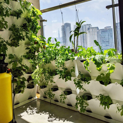 Khung Module Rau Ban Công (1M2 xếp ngang Có Tưới Nhỏ giọt bán tự động) dạng Đứng VerticalMinigarden nhập khẩu Bồ Đào Nha với 8 chậu kèm 2 Tray hứng nước và bộ dây tưới nhỏ giọt lắp sẵn