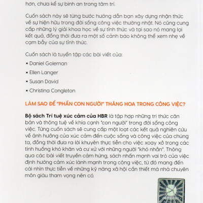 Sách - HBR Emotional Intelligence : Tỉnh Thức