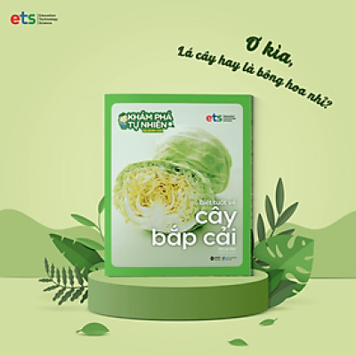 Khám Phá Tự Nhiên Quanh Em : Biết tuốt về cây Bắp Cải