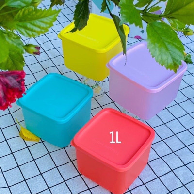 Bộ Hộp Tupperware Bảo Quản Thực Phẩm Ngăn Mát Medium Square Round 1L (04 Hộp)