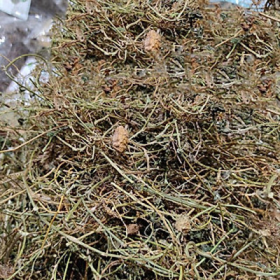 dây khổ qua rừng khô túi 1kg