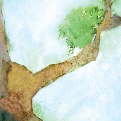 Sách - Illustrated Classics - Những Cuộc Phiêu Lưu Kỳ Thú - Robin Hood, Gulliver Du Ký, Moonfleet