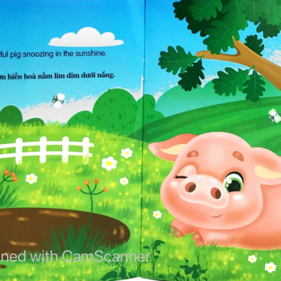 Bộ Sách Những Câu Chuyện Về Thế Giới Loài Vật 2 (Bộ 6 Cuốn)