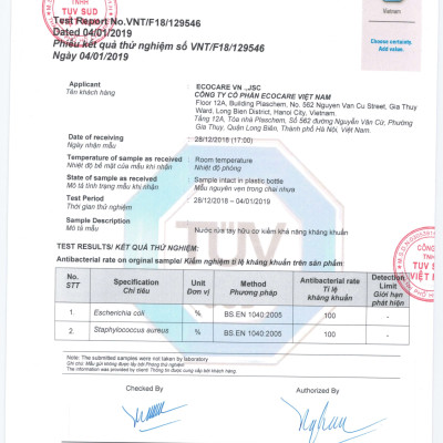 Nước rửa tay hữu cơ diệt khuẩn dạng bọt hương Cam 4000ml thương hiệu Ecocare ( tặng kèm vỏ tạo bọt)