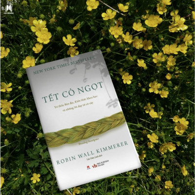Sách - Tết Cỏ Ngọt - Tri Thức Bản Địa, Kiến Thức Khoa Học Và Những Lời Dạy Từ Cây Cỏ - Huy Hoàng Bookstore