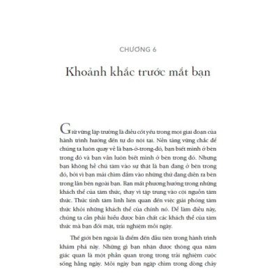 Sách Sống đời tự do - Michael A. Singer