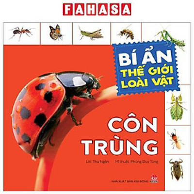 Bí Ẩn Thế Giới Loài Vật - Côn Trùng (Tái Bản 2024)