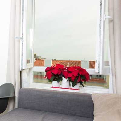 Chậu Để Bàn Tự Tưới và Tự bón phân Basic S , nhập khẩu Minigarden dành cho người yêu cây xanh nhưng không có thời gian chăm sóc cây (Giải pháp trồng cây TỰ DƯỠNG bền vững) (1 bộ gồm 2 chậu S, 1 khay hứng nước, 1 bình chứa nước và phân)