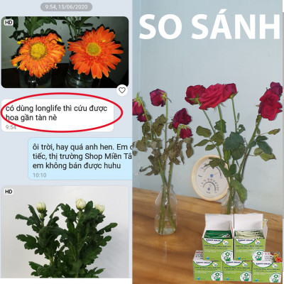 Thuốc Dưỡng Hoa Tươi Cắt Cành Nhập Khẩu Israel hiệu Longlife (1 thùng 1.000 gói 5gr) phù hợp dùng làm nước cắm hoa cho mọi loại hoa tại nhà và 14 ngày không cần thay nước mới