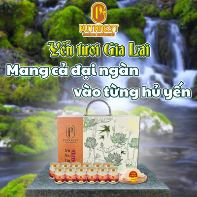 Yến chưng Đường phèn PUTANEST hộp quà tặng cao cấp 12 hũ 70ml đẹp da ngủ ngon tăng sức đề kháng