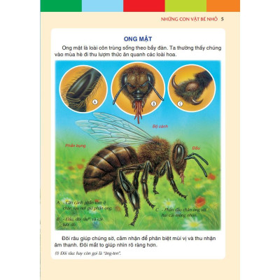 Sách - Những Con Vật Bé Nhỏ - Bìa Cứng - Minh Thắng