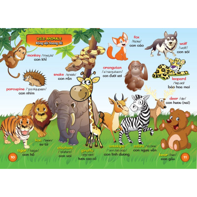 Từ Điển Bằng Hình Đầu Tiên Của Bé - Bách Khoa Tri Thức ( Các Trang Điều Là Bìa Cứng )