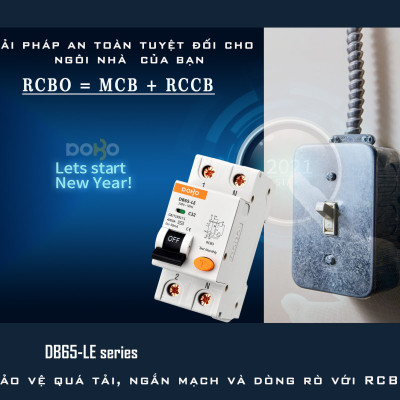 Cầu Dao Chống Giật 2 Pha Dobo Electric Korea (50A - 30mA) - Trắng